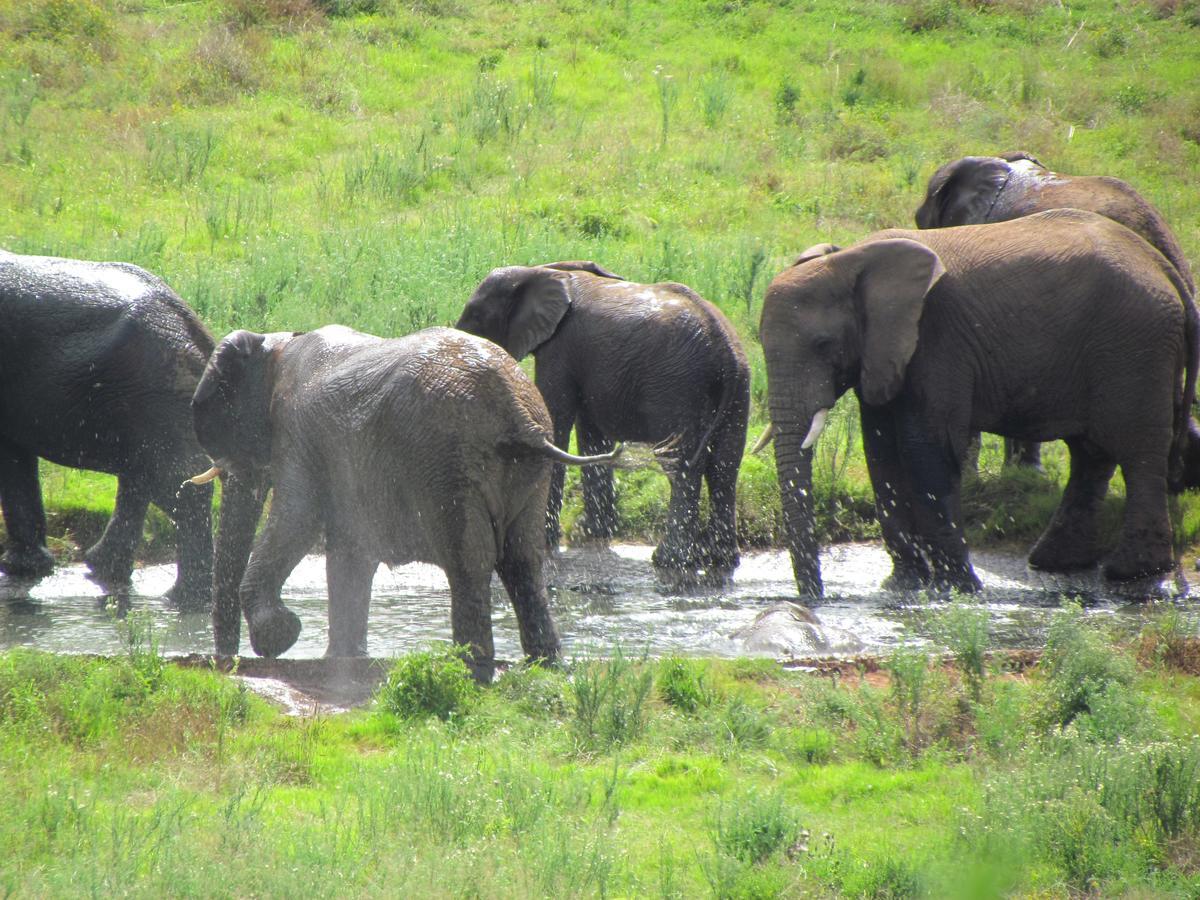 Hopewell Private Game Reserve Buyskloof 외부 사진